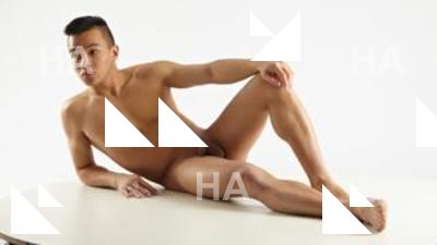 Lying reference poses Ricardo