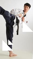 Fighting reference poses Lan