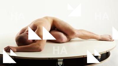 Lying reference poses Rex