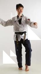 Fighting reference poses Lan