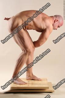 Bodybuilder Standing
