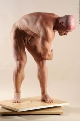 Bodybuilder Standing