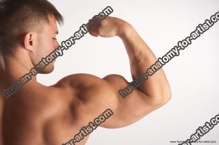 muscles requested 25