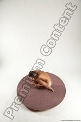 Nude Man White Kneeling poses - ALL Athletic Short Brown Kneeling poses - on one knee Multi angles poses Realistic