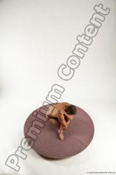 Nude Man White Kneeling poses - ALL Athletic Short Brown Kneeling poses - on one knee Multi angles poses Realistic