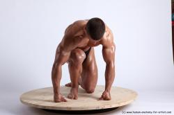 Swimsuit Man White Kneeling poses - ALL Muscular Short Brown Kneeling poses - on one knee Academic