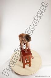 Nude Man White Standing poses - ALL Slim Short Brown Standing poses - simple Multi angles poses Realistic