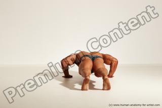 Bodybuilding reference poses of Ramon