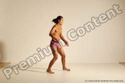 Traditional korean art of Elmer