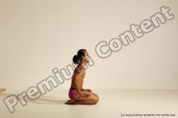 Traditional korean art of Elmer