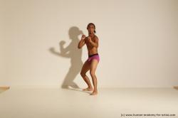 Traditional korean art of Elmer