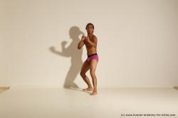 Traditional korean art of Elmer