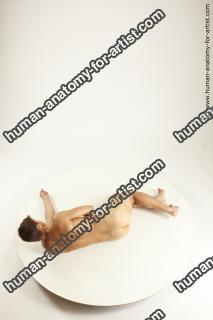 willbert various 01 40a