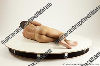 willbert various 01 43b