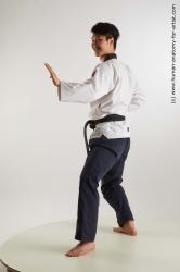 Fighting reference poses Lan