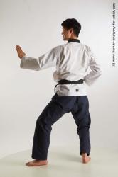 Fighting reference poses Lan