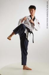 Fighting reference poses Lan