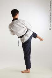 Fighting reference poses Lan