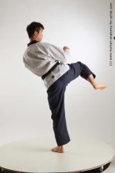 Fighting reference poses Lan