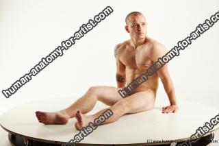 sitting reference rex 02