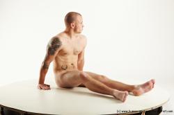 Sitting reference poses Rex